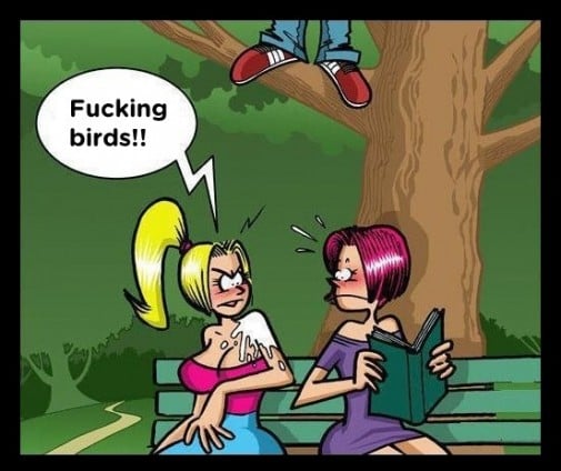 Ach tie vtaky (O: